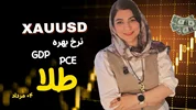 هفته سرنوشت‌ساز طلا؛ شکار نقدینگی قبل از حرکت بزرگ!